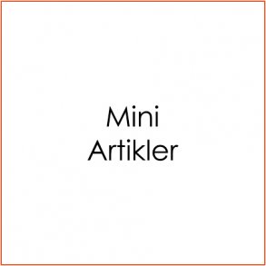Mini Artikler