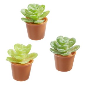 Mini Grnne Planter I Potte 3 Stk