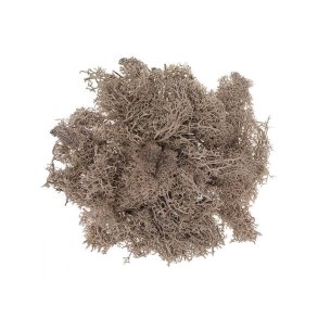 Dekorations Mos - Brun 30g