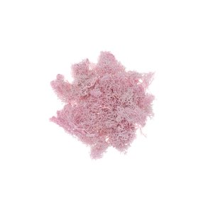 Dekorations Mos - Lyserd 30g