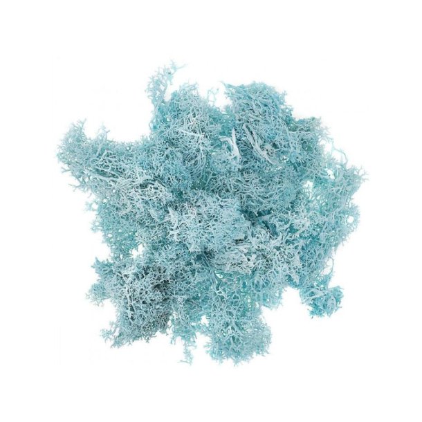 Dekorations Mos - Tyrkis 30g