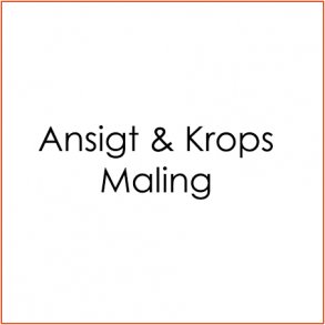 Ansigt & Kropsmaling