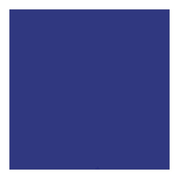 Silkepapir  50x70 cm Kongebl 5 Stk