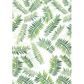 Transparent Pergament Papir Med Palmeblade  A4/ 115g