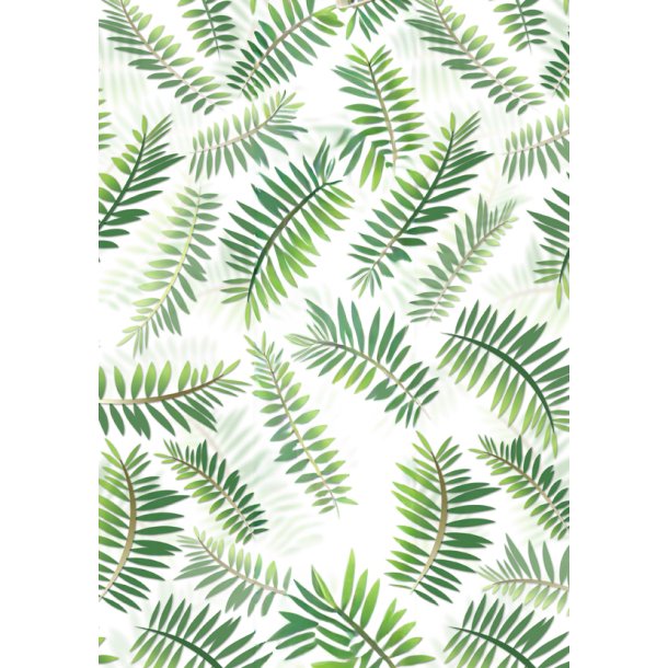 Transparent Pergament Papir Med Palmeblade  A4/ 115g