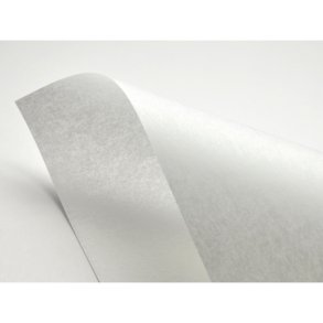 Transparent Vellum/Pergament Papir 110g - 10 Ark
