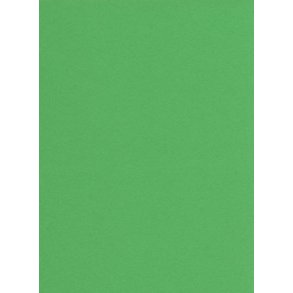 Play & Cut 180g Grsgrn 202060