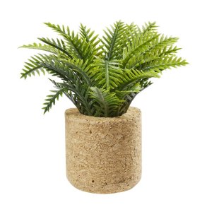 Mini / Miniature Palme