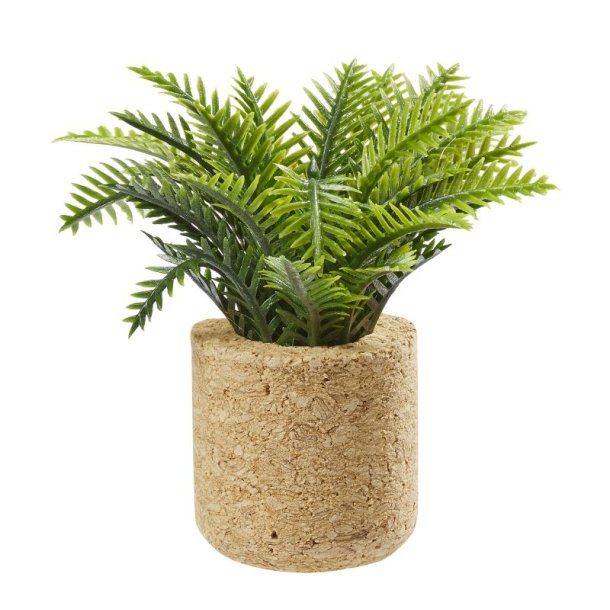Mini / Miniature Palme