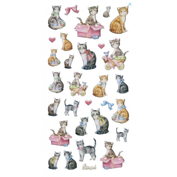 Stickers SOFTY Katte