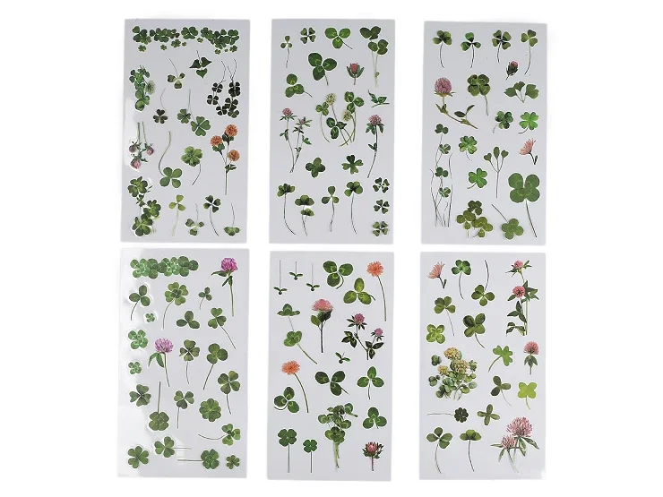 Stickers Transparent Blomster- 6 ark - Stickers - Papirgalleriet