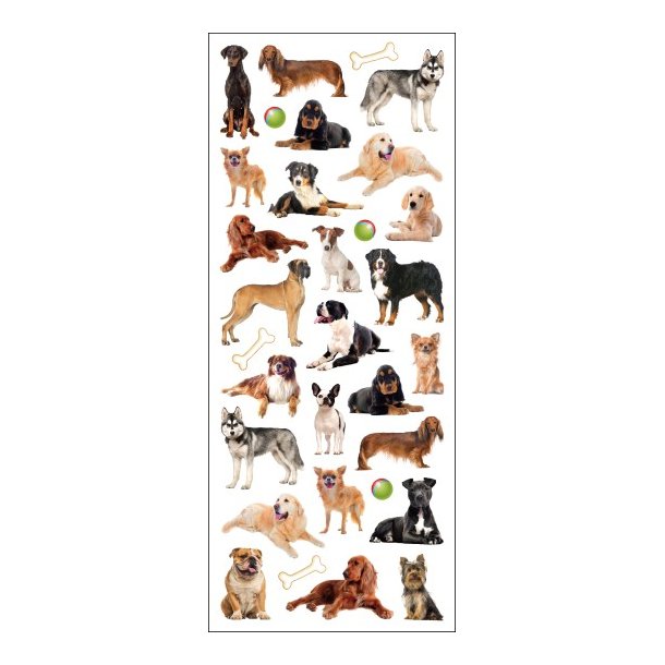 Stickers Holografisk Hunde Stickers - Papirgalleriet